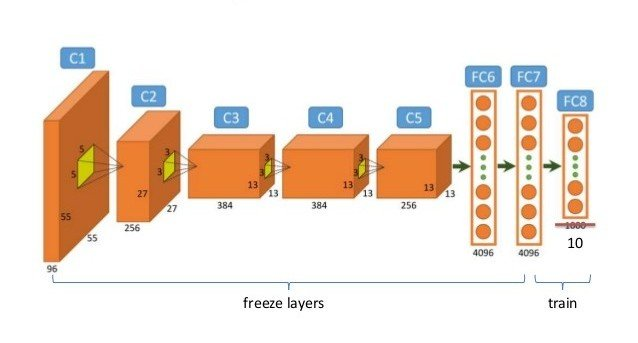 VISUALIZED_DEEP_TRANSFER_LEARNING