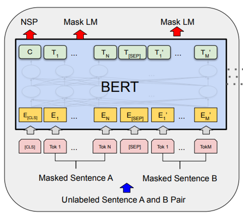 Bert