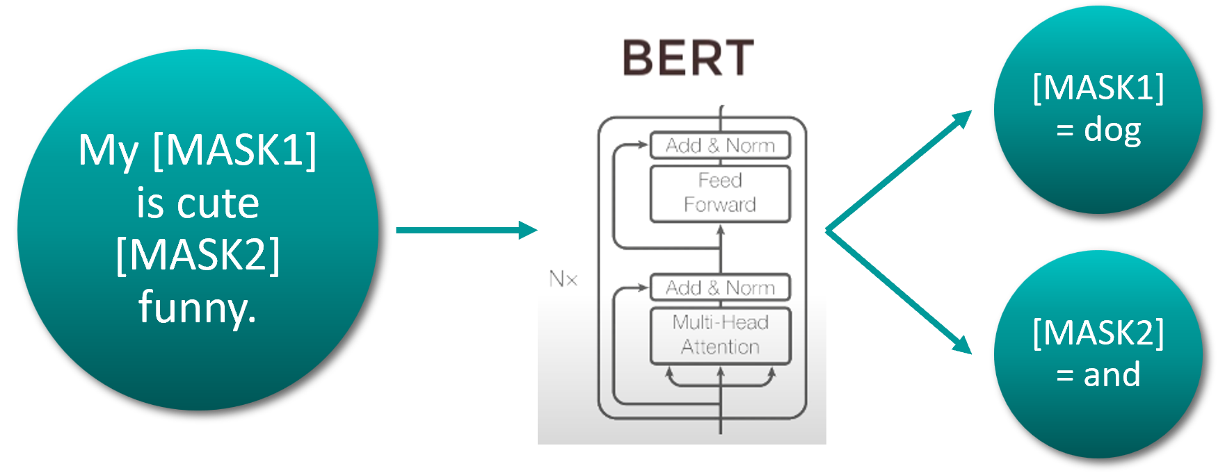 Bert5